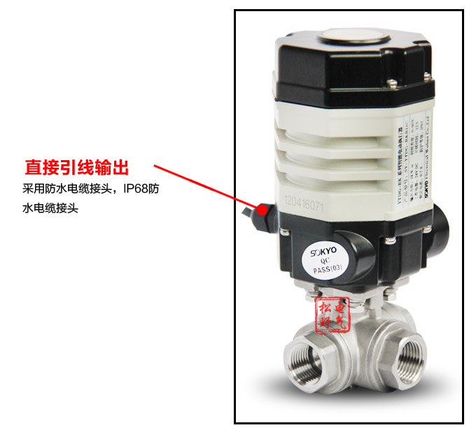 電動(dòng)執(zhí)行機(jī)構(gòu),YTDG-RKB18電動(dòng)執(zhí)行器,電動(dòng)頭細(xì)節(jié)圖3