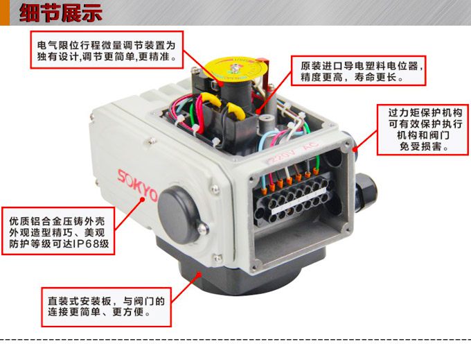 電動(dòng)執(zhí)行器,電動(dòng)頭,YTDG-RS100電動(dòng)執(zhí)行機(jī)構(gòu)細(xì)節(jié)圖1