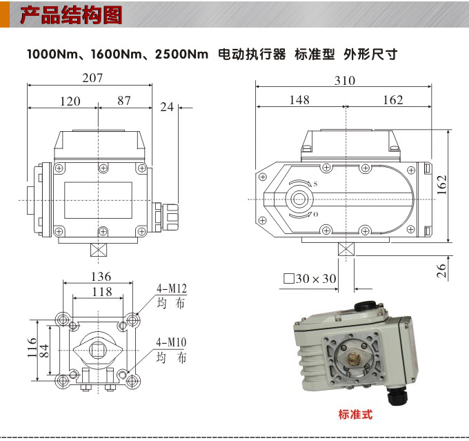 電動執(zhí)行器,電動頭,YTDG-RS2500電動執(zhí)行機(jī)構(gòu)結(jié)構(gòu)圖,標(biāo)準(zhǔn)式