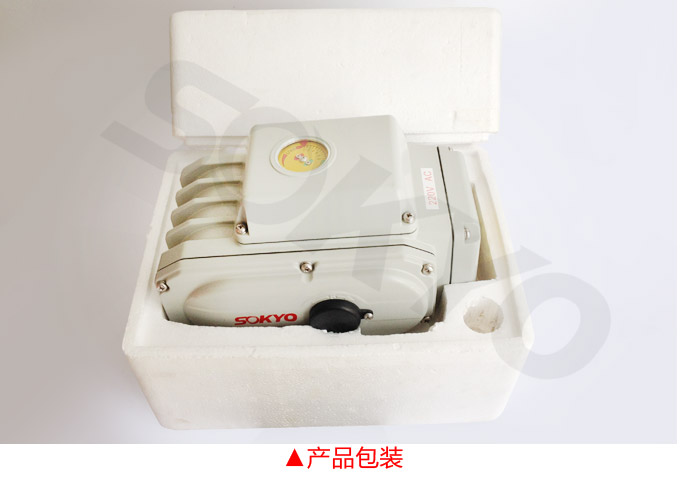 電動執(zhí)行機構(gòu),YTDG-RKB1000電動執(zhí)行器,電動頭產(chǎn)品包裝2