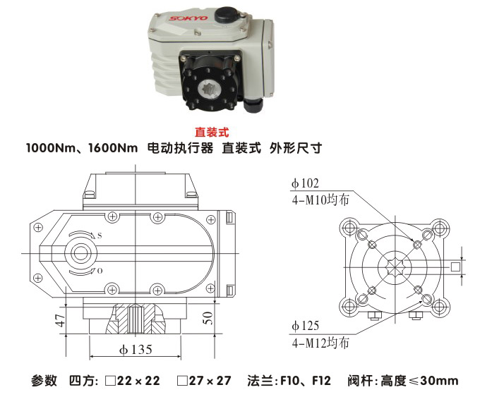 電動執(zhí)行器,電動頭,YTDG-RS1000電動執(zhí)行機構(gòu)結(jié)構(gòu)圖,直裝式