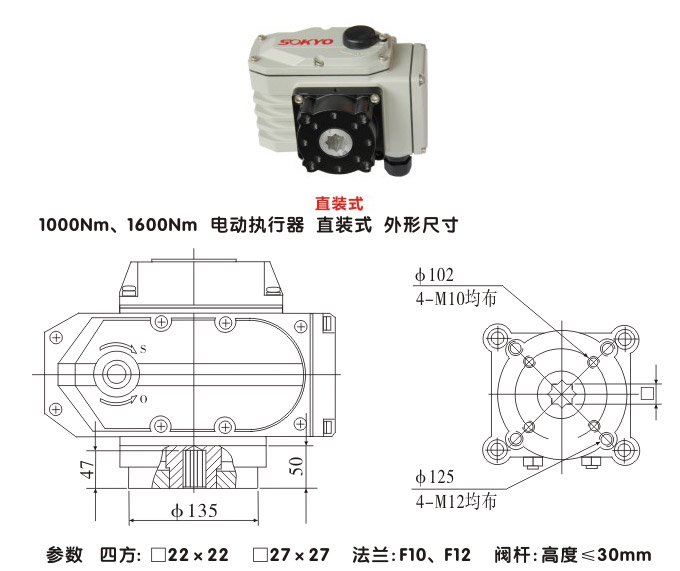 電動執(zhí)行機構(gòu),YTDG-RKB1000電動執(zhí)行器,電動頭結(jié)構(gòu)圖,直裝式