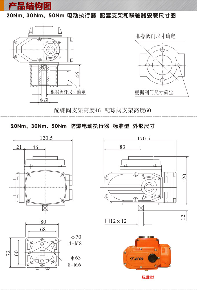 防爆電動頭,YTEx-RKB50防爆電動執(zhí)行器結(jié)構(gòu)圖,標(biāo)準(zhǔn)式