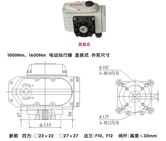 智能電動(dòng)執(zhí)行器,YTDZ-RS1000智能電動(dòng)執(zhí)行機(jī)構(gòu)結(jié)構(gòu)圖,直裝式