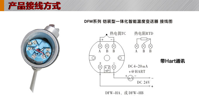 溫度變送器模塊,DFW智能溫度變送器接線方式